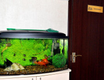 Көрермендер