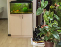 Көрермендер